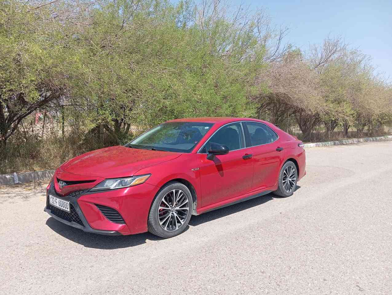 كامري 2020 SE 
فول موصفات عدا الفتحة  

رقم اربيل مميز 

 4سلندر 

ماشيه 80 

الضر حافة البنيد وشبر بالتكمة 

مكان السيارة كركوك 

*********** السعر 190 وبيها مجال
