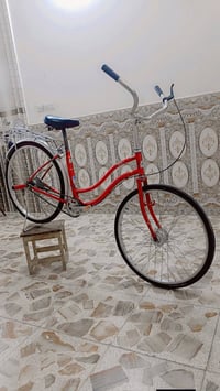 باسكل أحمر • حجم 24 • ياباني