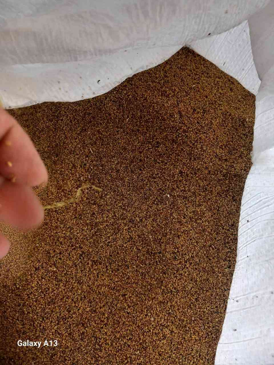 📢 متوفر الآن لدى مكتب الشاهين الزراعي
🌾 جت عراقي بجودة ممتازة
💰 السعر: 14,000 دينار للكيلو
🚚 خدمة التوصيل متوفرة
📍 العنوان: سامراء – مفرق الفلوجة
📞 للحجز والاستفسار: ***********
🔹 سارعوا بالحجز قبل نفاد الكميات.
