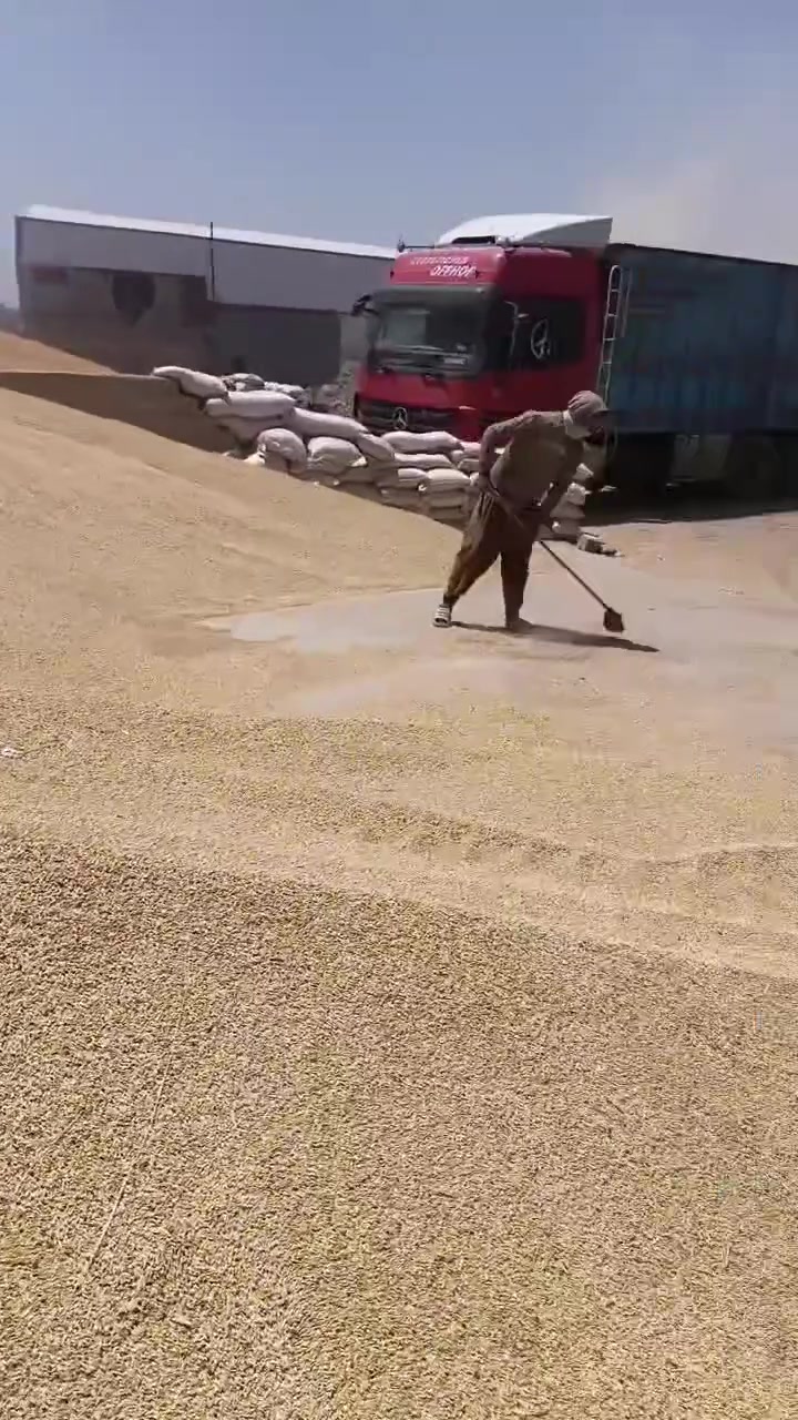 يوجد لدينا شعير توصيل جميع المحافظا***********
