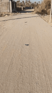 يا الله سلام عليكم قطعه للبيع منطقة لكطع مساحته 400متر ركن طابو زراعي سند 25 كافة الخدمات يم مجمع اسكني الجواهر سعر مناسب ***********
***********@
