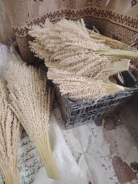 لكوح • سماوه سوير • عدد ٢٠