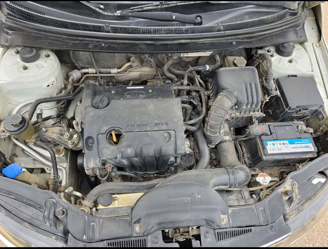 من بعد اذن صاحب الگروب سيراتو 11 مكفولة سعر 115بيها شبر بارد فقط سونر موجود غير متواجد ع الفيس إتصال ***********
