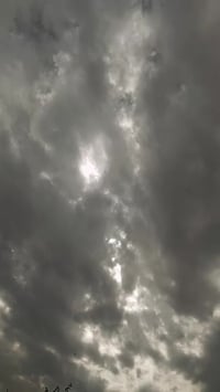 ماكس عدلة • نشطة • بوشة ٥٥