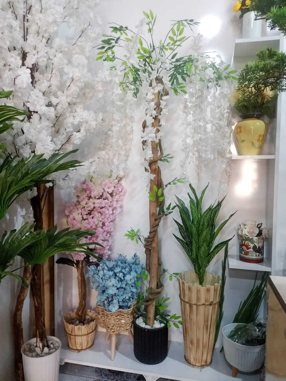 متجر #سعفة

موقعنا شارع حي الجمعية الاولى خلف المركز الصحي

متواجدين يوميا من الساعة 3 عصرا حتى الساعة 11 ليلا

#الانبار #هيت


**إذا كنت صاحب هذا الإعلان وتريد حذفه لأي سبب، رجاءا أرسل رسالة إلى الدعم الفني**