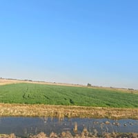 سعر يحبس الأنفاس... 30 دونم سعر دونم 8 مليون وبيهة مجال إذا تبحث عن أر...