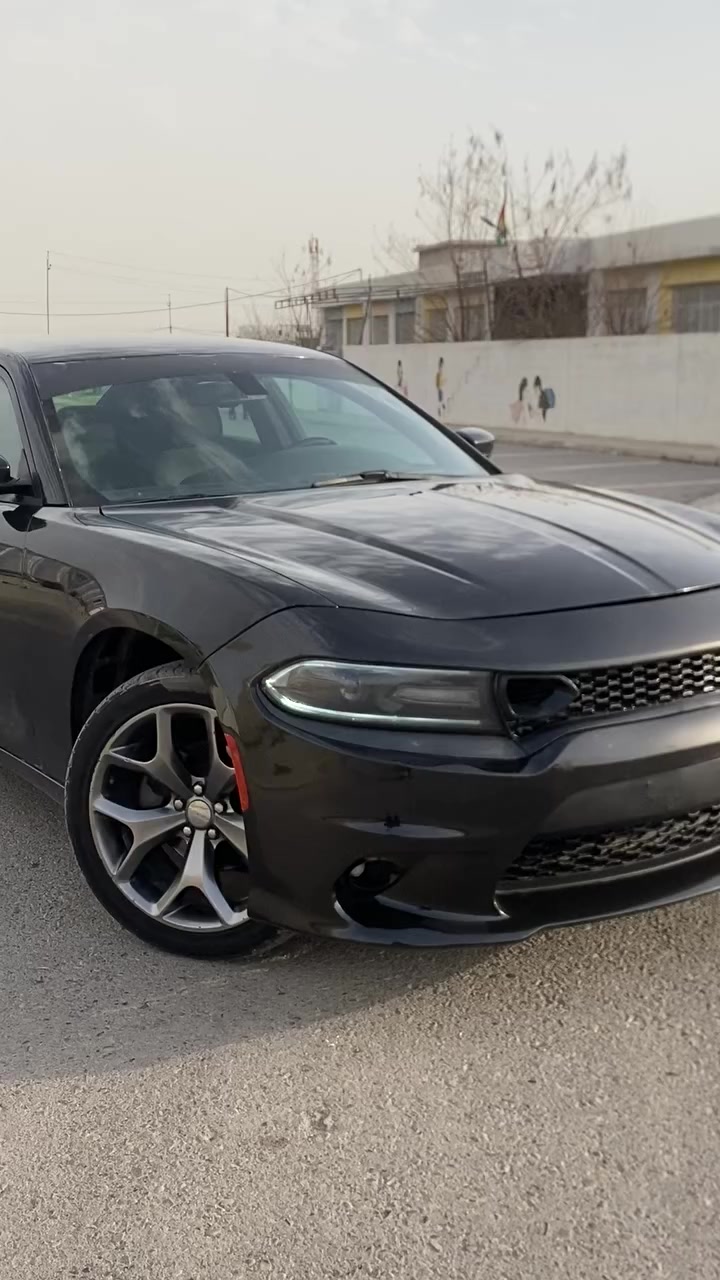 بۆ فرۆشتن بڕاوە ٢٠١٨سفر


**إذا كنت صاحب هذا الإعلان وتريد حذفه لأي سبب، رجاءا أرسل رسالة إلى الدعم الفني**