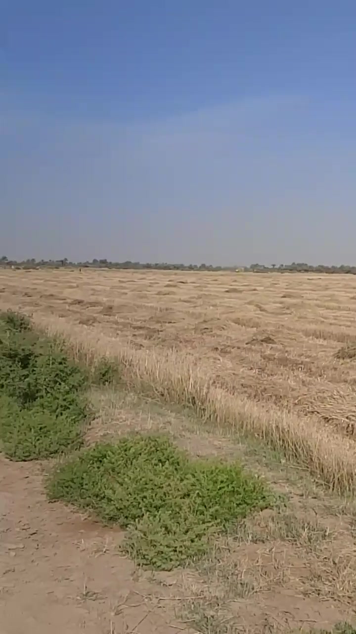 🌾 إعلان بيع أرض زراعية مميزة 🌾

📍 الموقع:
الحلة / بابل / السوملي
قرب نهر عتاب – قرية البوكزار

🔹 نوع الأرض: طابو زراعي
🔹 المساحة الكلية: 10 دونم
🔹 إمكانية البيع: من 1 دونم إلى 10 دونم

✅ مناسبة للسكن والزراعة
✅ تتوفر فيها:
💧 ماء إسالة
💧 ماء سقي
🌱 الأرض مزروعة حالياً بمحصول الحنطة

👤 صاحب الأرض:
الشيخ فائز تركي السند

📞 للتواصل:
1️⃣ ***********
2️⃣ ***********
