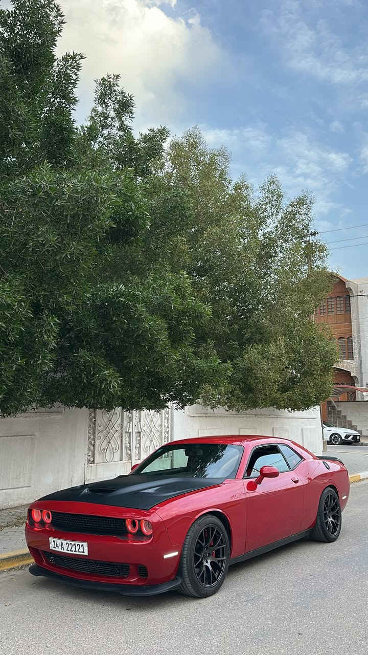 السلام عليكم للبيع 
جالنجر 2018 rt 5700 وارد كندي
حادثها جاملغ وراجع نفسه قطعه وحده فقط 
وبنيد محدث هيلكات اصلي 
(بدون دواخل شواصي لغود مكفوله)
رقم بصره مميز هزتها السنه الجايه تخلص 
تحويل ثاني يوم كشنات كنتاره لون احمر 
ماشيه 68 ميل عليها اضافات السياره 
راديتر ومراوح srt
لدات متغيره على التلفون 
لدات جانبيه تكساس
ولف حماوه ميشموتو الاصلي حماوه 85 ثابته صيف شتا
عليها اويل كاج كان 
نوزلات هيلكات 
بلكات ريسنك وفيتبم ريسنك 
عليها اكسل قفل srt موديل 22
ويل هيلكات اصلي
عليها كزوز srt اكس بايب وداون بايب 
دبات ht power
برمجه سيڤتي السياره معروفه بقوتها 
السعر 168 وبيها مجال لاتقارنها بالمهجومات 
العنوان البصره حي المدراء 
للأستفسار ***********
