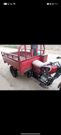 ستوته • مراوس • واتساب