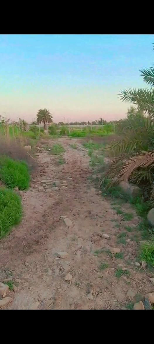 قطعة ارض للبيع
السلام عليكم قطعه ارض مساحه 600 متر  واجه 20 نزال 30 زراعي 135 في منطقه الاصلاح قرب شركه الماي و تبعد عن باب الجزيرة السياحية  10 دقايق   *********** استفسار واتساب
