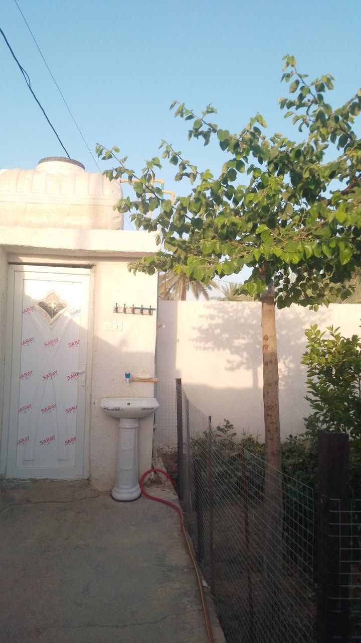 السلام عليكم بيت للبيع ع طريق أبو الجاسم ع حي الشهداء مساحة البيت 200 متر يتكون من غرفتين وصاله وستقبال و مطبخ وصحيات +قطعه 375متر مشجره نخل وحمضيات التواصل ع هاذا الرقم ***********   مامتواجد ع فيس الشراي يجي يشوف وبي خير ويدلل

