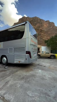 ام سيوف 15 للبيع 07711668298