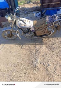 جني • شغال • سلف