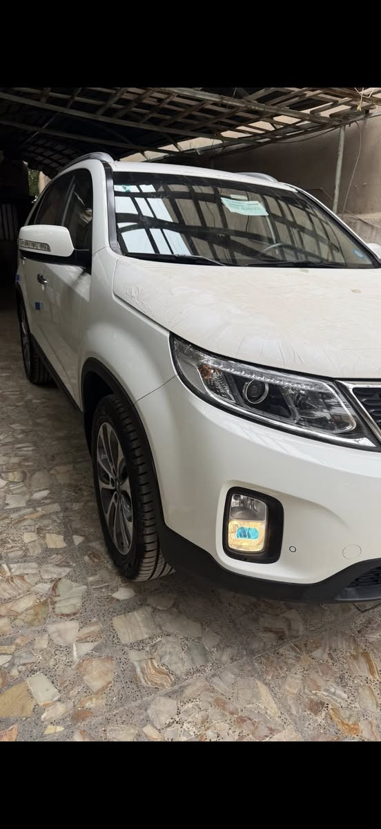 السلام عليكم سياره سورنتو موديل 2014
ماشيه 26 السياره بوضع الشركه 

(مواصفات السياره )

مكينه 4 سلندر 2400 

3 قطع تبريد
 7 راكب 
لد امامي حساس امامي خلفي 

كامرى مري شفط 
كشنات جلد ويل كروم
نضام تزحلق 
بردات خلفيه
تبريد بيانو
مكفوله من الصبغ والضربه والتبديل
السياره في وضع الشركه
رقم بغداد 
عدد سويجات 2 
مكان السياره بغداد شارع فلسطين
الهـاتف ***********
