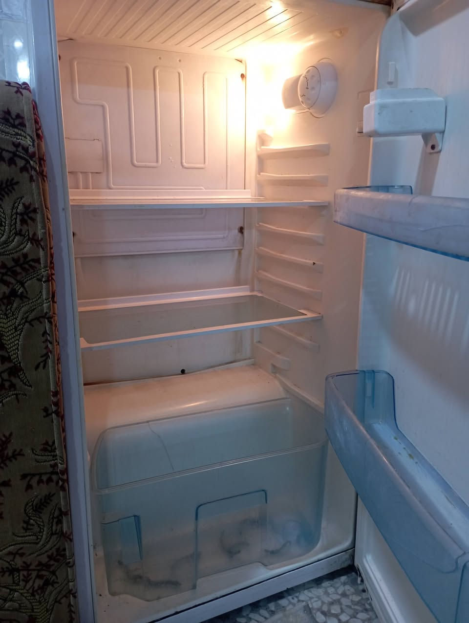 ثلاجه للبيع نضيفه وتجميد فول ممصلحه ماطورهه الاصلي 
١٠٠ وبيهه مجال الي تريدهه تراسلني


**إذا كنت صاحب هذا الإعلان وتريد حذفه لأي سبب، رجاءا أرسل رسالة إلى الدعم الفني**