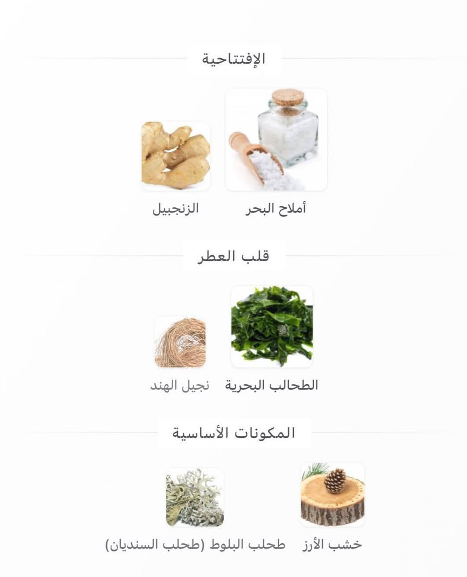 بمناسبة الصيف ✨🤍 وفرنالكم تقسيمات لـأشهر اصدارات من ايسي مياكي الرجالية  
من حجم ٣ مل للـ ١٥ مل ✅

L’Eau d’Issey لو ديسي
Le sel d’Issey edt لو سيل تواليت 
Le sel d’Issey edp لو سيت بارفوم 

✅ توصيل لكل محافظات العراق
للتفاصيل والسعر التعليق ب" تم" 🩵 
#explorer


**إذا كنت صاحب هذا الإعلان وتريد حذفه لأي سبب، رجاءا أرسل رسالة إلى الدعم الفني**