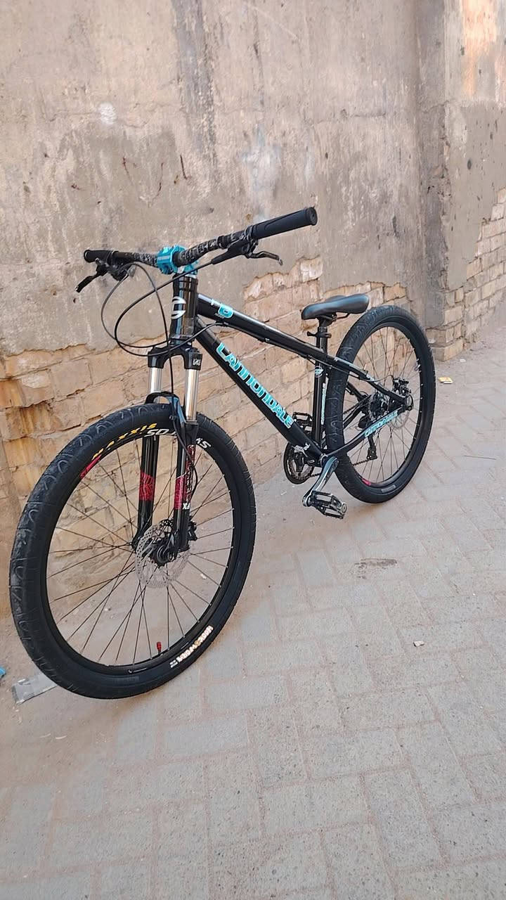 بايك للبيع شركة كاندل البايك من كلشي كامل اي نقص ما بي بي تايرات مكسز بي ويالة سكوت دبل سكوت بريكات هايدروليك دهن شيمانو MT200 ذراع شيمانو بي بطيخة طرب بي مجمع ركبة بولبرين عكرب 8×1 بدالة مال عكرب شيمانو البايك كامل مكمل وكلشي شغال(مكاني بغداد مدينة الصدر)


**إذا كنت صاحب هذا الإعلان وتريد حذفه لأي سبب، رجاءا أرسل رسالة إلى الدعم الفني**