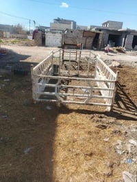 حجر كيا • طوس خرماتو • صلاح الدين