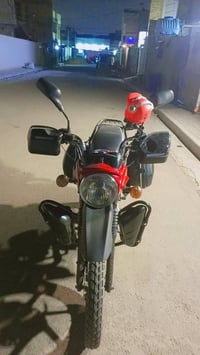 بوكسر • موديل 2023 • أوراق كاملة