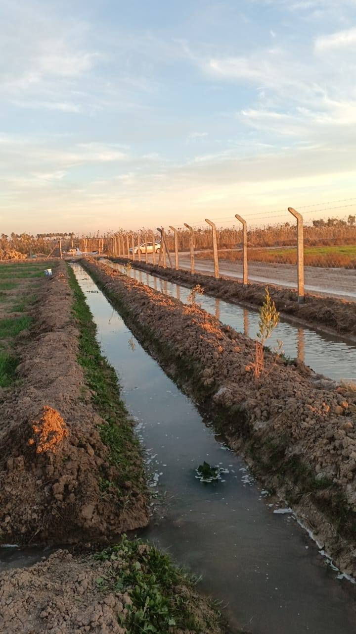 ارض زراعيه طابو في منطقه الزيدان منطقه المحمودي 3دونم سعر الدونم 33...ارض زراعيه مخدومه وحلوه مسيجه فتح بيان ثاني يوم للاستفسار واتساب ***********
