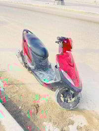 عدله بوشة ٥٥ للبيع 07725196354