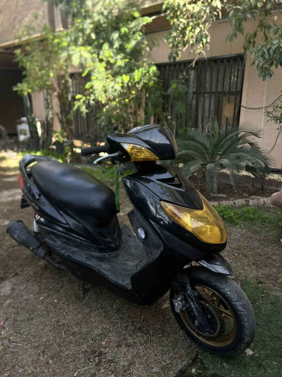 سكنس فحل وكاله كفاله عامه كلجات رياضي فول تزويد  برغي واحد نقص مابيها كامله مكمله تاخذها من باب البيت وجيب لفيتر ليعجبك وتعال مكاني بغداد حي اور *********** السعر 600
