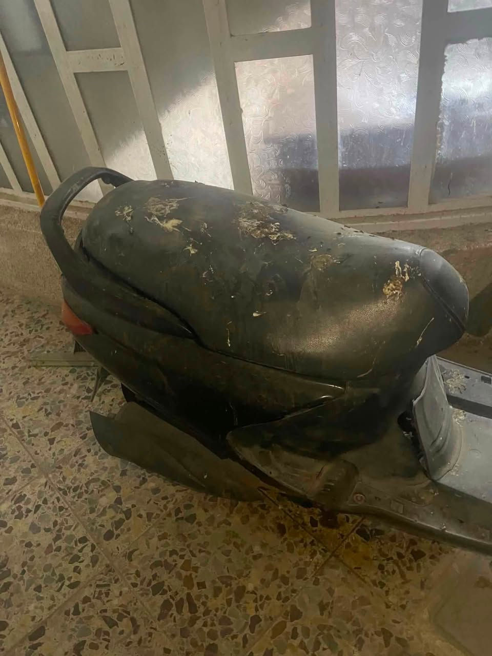 السلام عليكم دراجه فورتي ١٤٠ الدراجه طافيه نقص كابريتر وباتري ابيعلك كوم حديد اكفلك مكينه وكهربائيات شغالات تجي تحمل وتروح السعر ٢٠٠ مكاني بغداد الحريه


**إذا كنت صاحب هذا الإعلان وتريد حذفه لأي سبب، رجاءا أرسل رسالة إلى الدعم الفني**