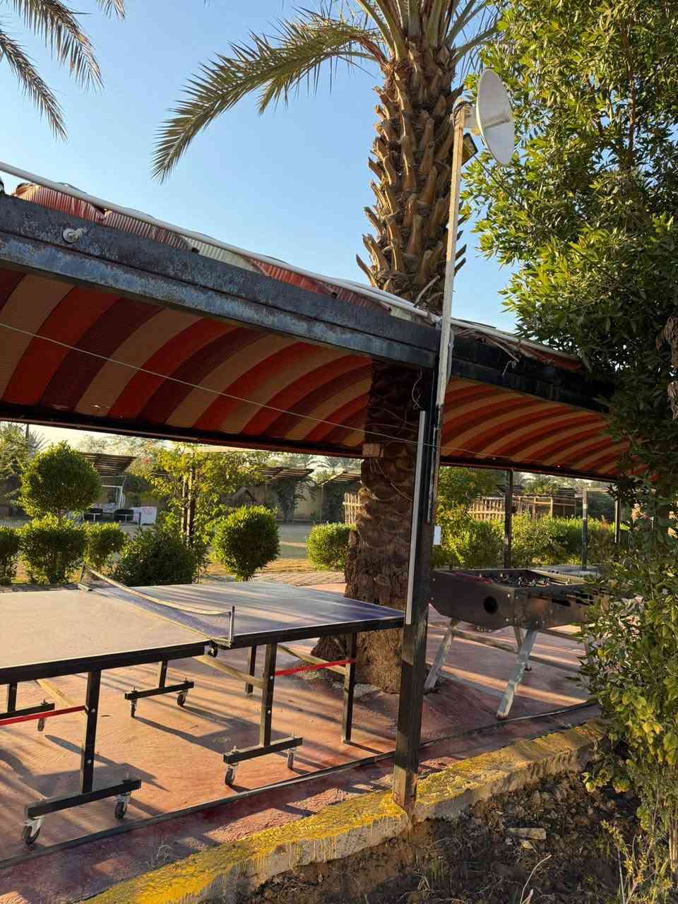 مزرعه بيت اهلنا
***********
دونمين
الدوره البوعيثه قرب المجزره
عدد الاشخاص ٢٥ 
الاطفال لل١١ سنه مجاني
سعر الاضافي لكل شخص ١٥ الف
عوائل وشباب
يوجد مسبح للاطفال 
دونم فقط للحدائق
توجد اربع جلسات خارجيه وعربيه
توجد مراجيح واماكن للكعدات
يوجد باربكيو
توجد بليارد فيشه منضده طائره تنس 
٣ عدد غرف النوم
حمامات داخليه اثنان 
وخارجيه اثنان
يسمح بدخول الديجي
يوجد انترنيت فري مجاني
اليوم يبداء من الساعه ٧ صباحاً الى ال ٦ مسائً الشفت الصباحي
يبدا الشفت المسائي من الساعه ال٧ مساءً الى الى ٨ مساءً
اليوم الكامل من الساعه ٧ صباحاً الى ٨ صباحاً ثاني يوم
