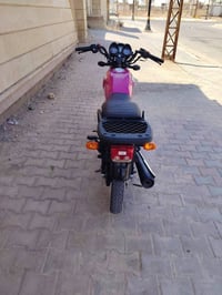 شاينك • سكنر • اوراق