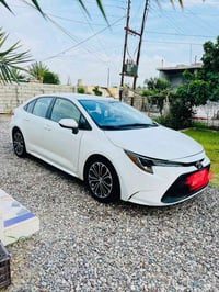 وارد أمريكي • ٢٠٢١ • ابيض ثلجي