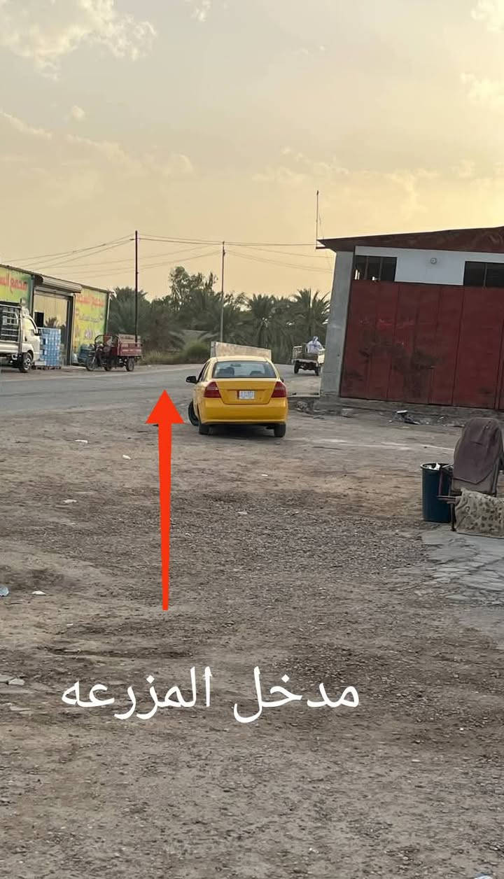 السلام عليكم ارض زراعيه للبيع المساحه دونم واحد طابوا زراعي سند 25 تحويل مباشر باسم المشتري متوفره كافه الخدمات علما ان الصوره واقع حال الارض الموقع  خلف جامعه بابل وتبعد عنها 500 متر شارعها كله تبليط للاستفسار ***********  مالك الارض حلة, بابل
