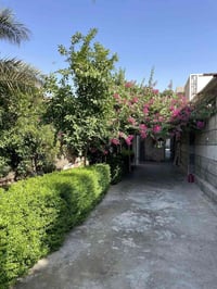 دار للبيع كميرة ابو كفة  مساحة 263 واجهة سبعة ونص زراعي سند ٢٥ حديقة و...