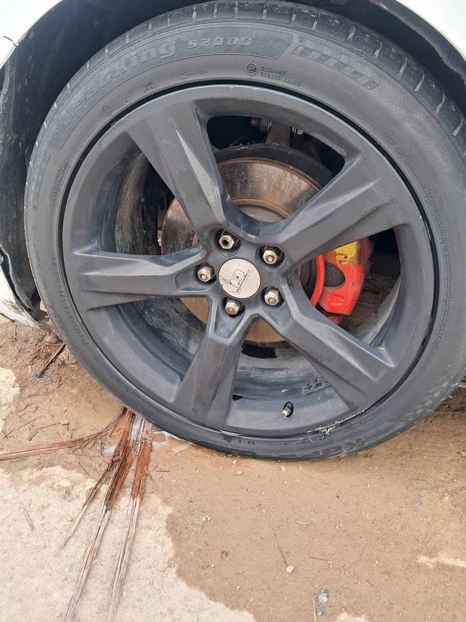 سلام عليكم وياله البيع و مراوس تفاصيل خاص ***********
