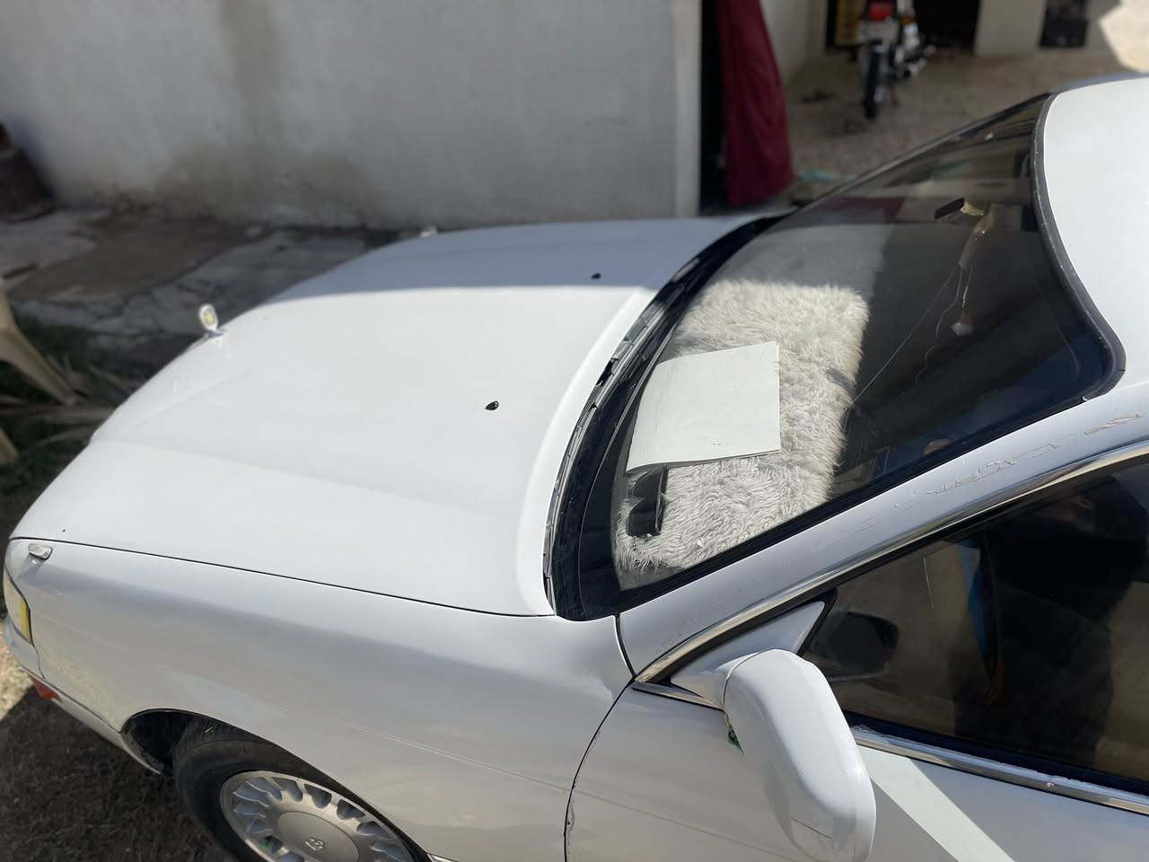 بطه مشروع وطني مديل93

رقم  بصره تحويل مباشر 

سنويه 2027

كفاله عامه مرشوشه جماليه كير ومحرك بالكارتون 

حداديه جديده ويل كب جديد كشن كهربائي 

تبريد تدفىه شغل

كهربائيات كلها شغاله 

السعر55وبيها مجال

العنوان كربلاء امان عون

 رقم ***********بيه واتساب
