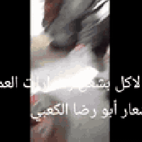 كادر أبو رضا الكعبي الجص والبورك ولبخ بغداد مدينة الصدر متفرغين حالين ...