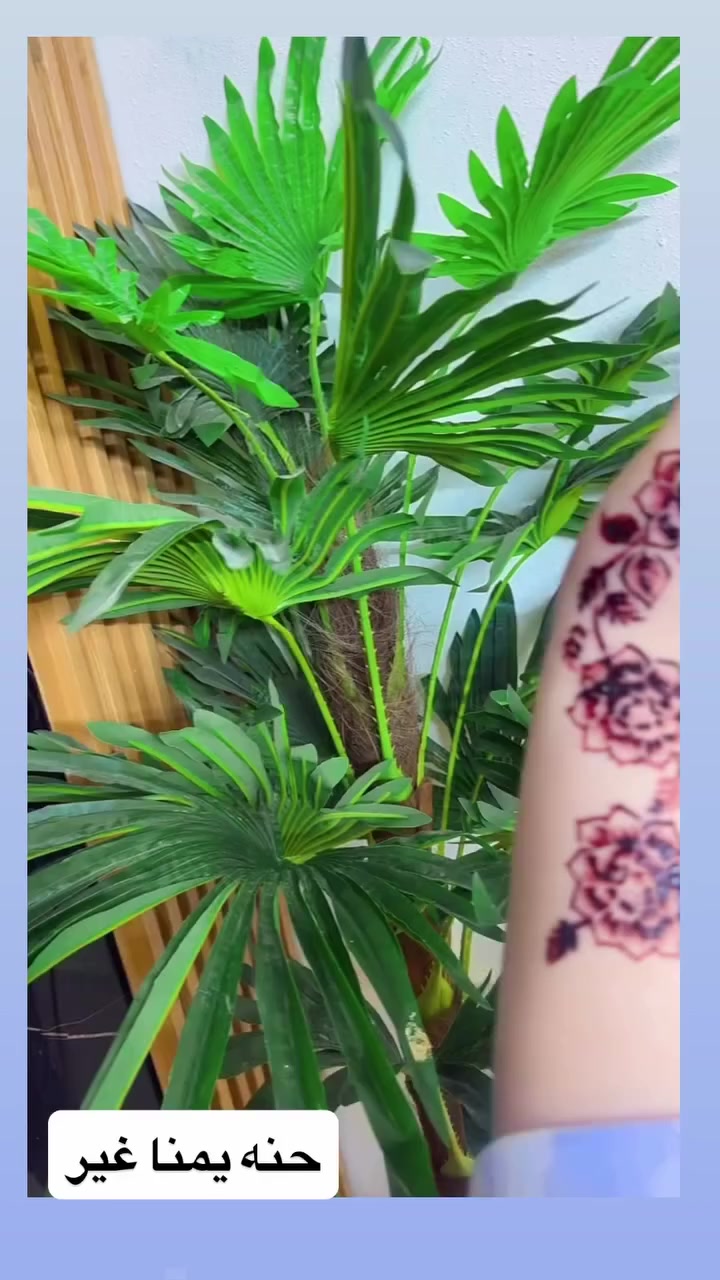 نبأ الشمري

خصومات 🥰

صالون ديفا سماوه الغربي مقابل متنزه الورده 

***********

 

https://www.instagram.com/diva_saloon_h.smawa?igsh=dTEyYm1xc2lianJ0
