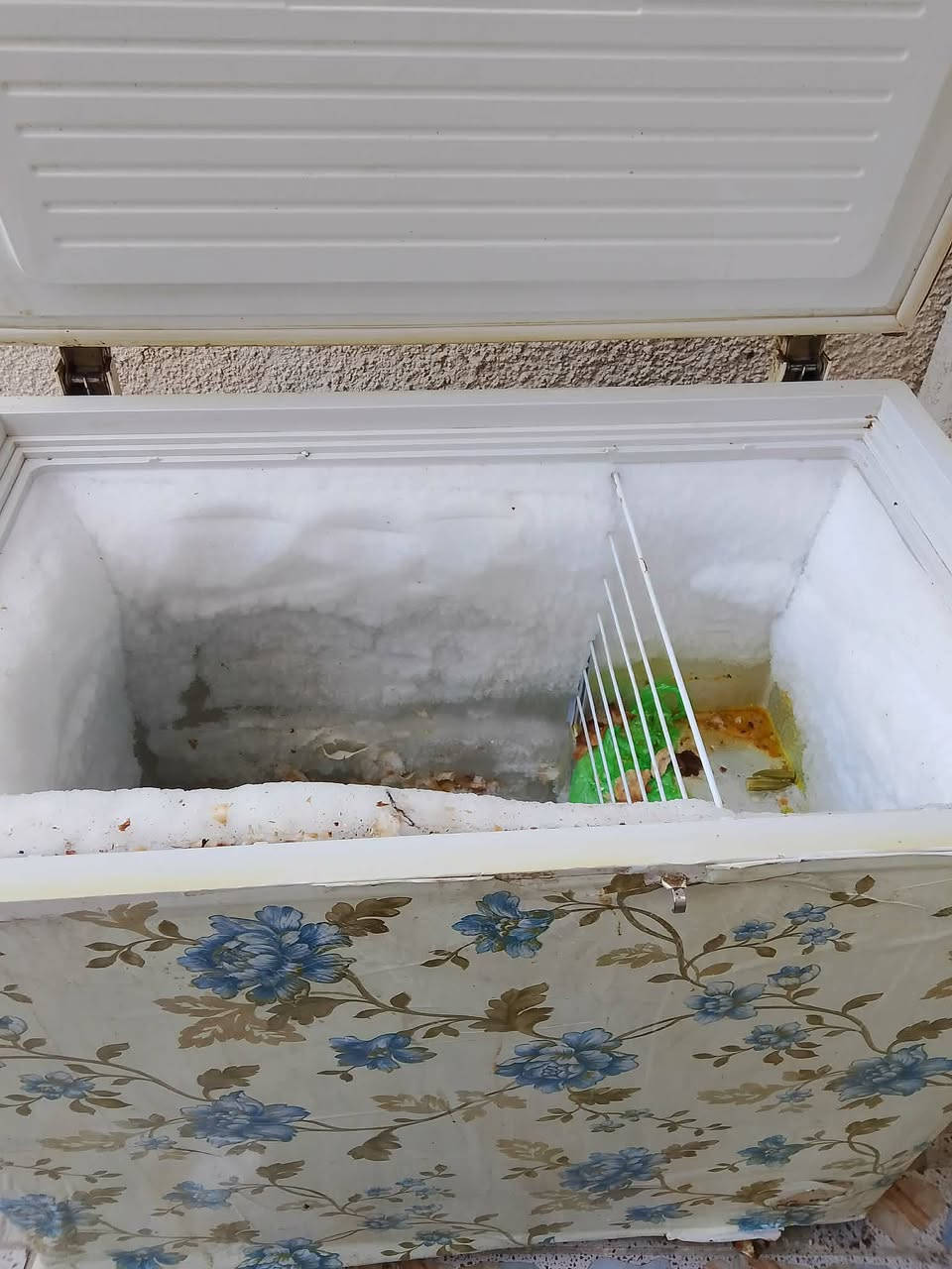 مجمده 14قدم للبيع الاستفسار خاص المكان الغزاليه  #بيع #فرصة #عراقي #بغداد


**إذا كنت صاحب هذا الإعلان وتريد حذفه لأي سبب، رجاءا أرسل رسالة إلى الدعم الفني**