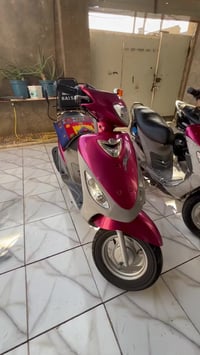 ماكس منغولي • مامفتوحه • نازل رمبه