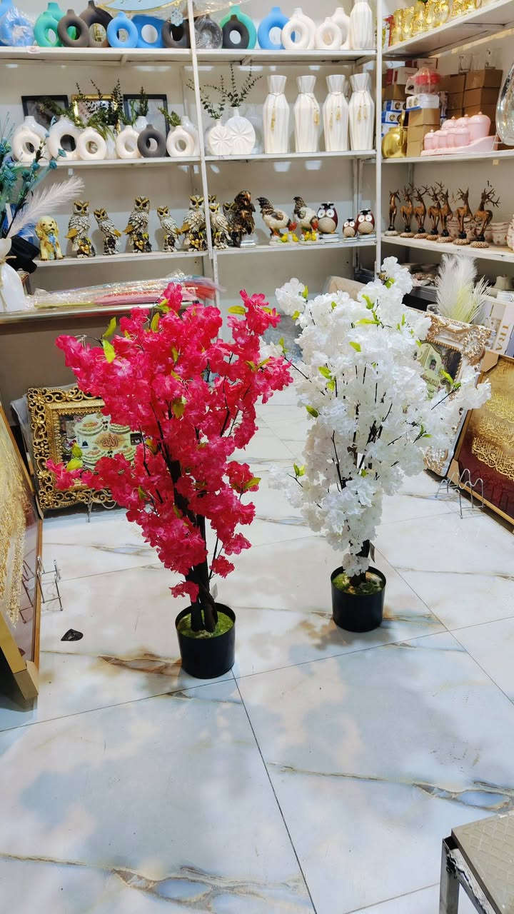 عيوني  مفتحين بليل مع نهار وهلان وسهلان بجميع 
.اشكال وموديلات مختلفه من الأشجار الصناعيه
عنوان المحل #واسط قضاء #النعمانيه 
 الشيشان الجديد الشارع الرابع
   محل الغيث للتسويق المنزلي


**إذا كنت صاحب هذا الإعلان وتريد حذفه لأي سبب، رجاءا أرسل رسالة إلى الدعم الفني**