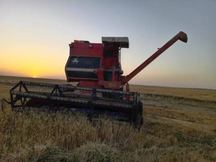 السلام عليكم 
حاصده فوركسن موديل 1989 رقم نينوى محرك 

معمر جديد بريك شغال تواير كبار جدد نضيفه بشكل

 ترهم مراوس المكان قضاء تلعفر  ناحيه زمار

سعر ٦٥ ورقه  
***********
