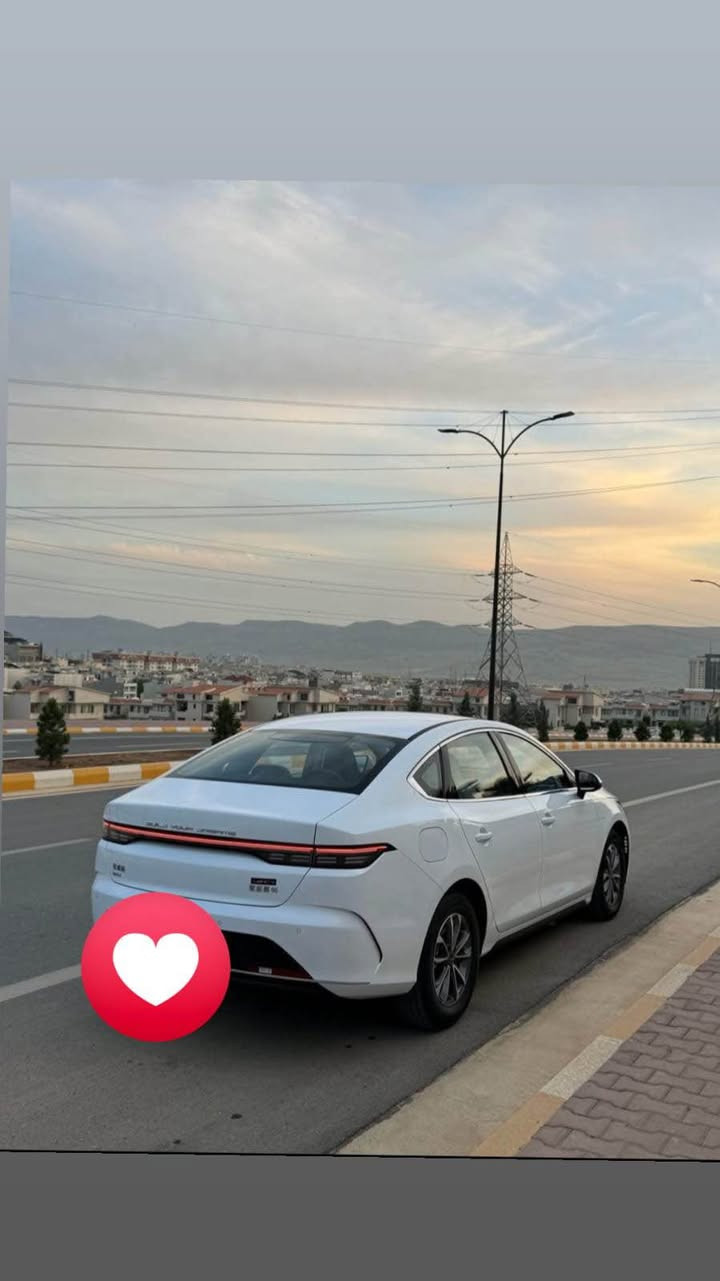 Byd distro 2025
١٣ هە زار ڕۆشتوە
تازە سێرڤسە 
گاعی قلبی تیایە
بۆیاخو ساردی نیە
*********** السليمانية, العراق
