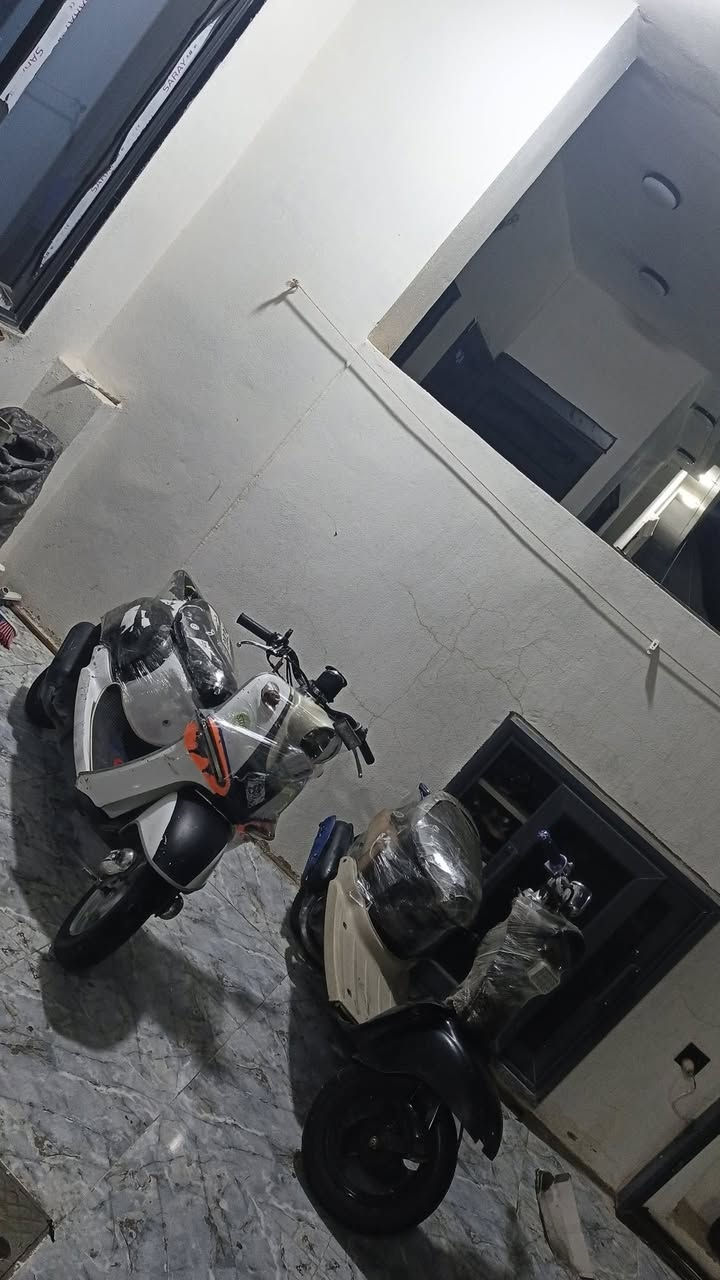 لبیع کلە شرت سلف هندر کولە شخال ایشارە لایت زینون کولە بلادی فەقەت صانسا توجاری سرعە60🚀سعر280شویە مجال قلیل مشتری تعال خاص ڕقم هاتف***********
