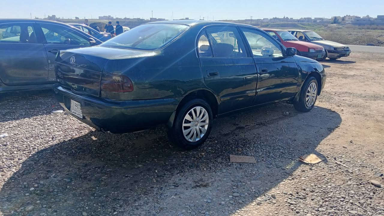 فرخ بطه موديل 92 رقم صلاح الدين الماني سنويه ل 29
شرط الوكاله و التحويل مصبوغه جماليه مكفوله من الكص شرط كير محرك شرط تبريد تدفه  كلو شغل السعر 43 وبيه مجال العنوان موصل كيارة اتصل و ادلل
***********
