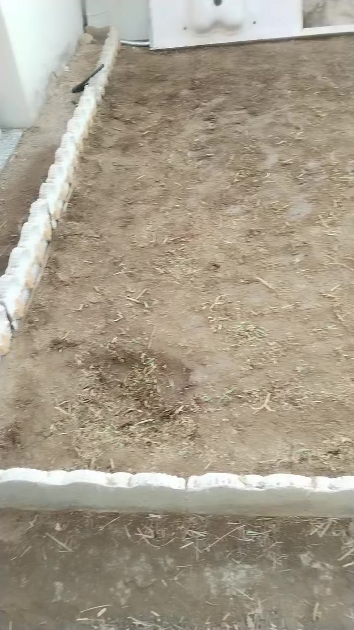 تنظيف الحدائق تقليم الأشجار
تنظيف السطوح
رقمي ***********
