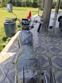 تايگر • مكفولة • ٤گير