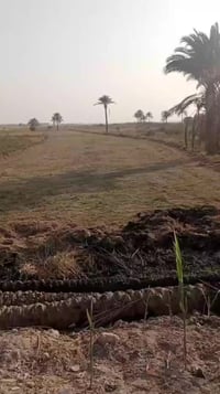 ٣ دوانم • طابو زراعي • الفلوجه الشهابي