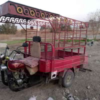 ستوته • كامله • بدون اوراق