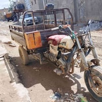 دايون • شاصي مكفول • مديل 2012