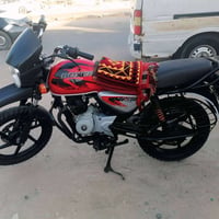 بوكسر • اصولي • ٢٠٢٢